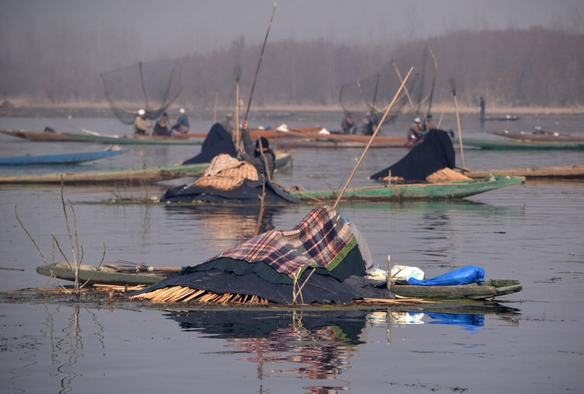 Anchar lake Srinagar kashmir Fishermen cover their heads with blankets to catch fish