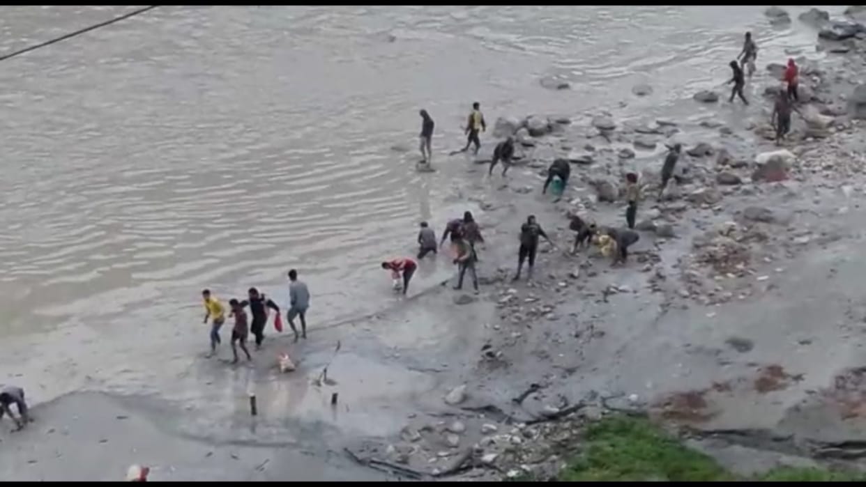 Uttarakhand Glacier Burst Chamoli News: floods spoiled ecosystem of Alaknanda, millions of fish died