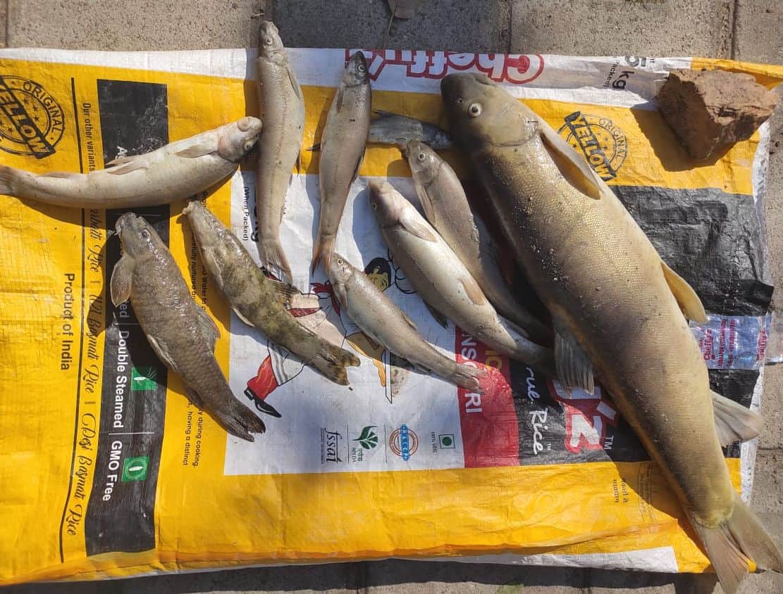 Uttarakhand Chamoli Glacier Burst news : Due to this reason fish found in Dead Dhauliganga, Rishi Ganga, Alaknanda