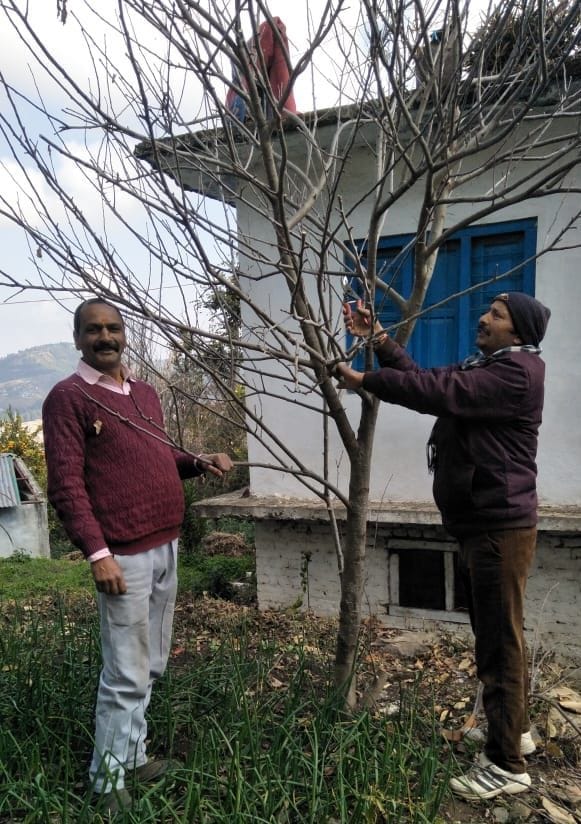 Horticalture in Champawat