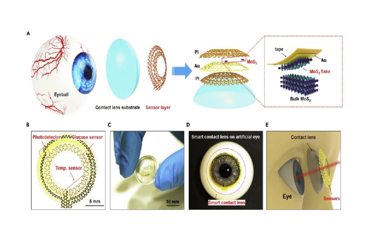 Smart CONTACT LENSES could improve your sight while monitoring for diabetes and strokes by measuring chemicals in tear fluid