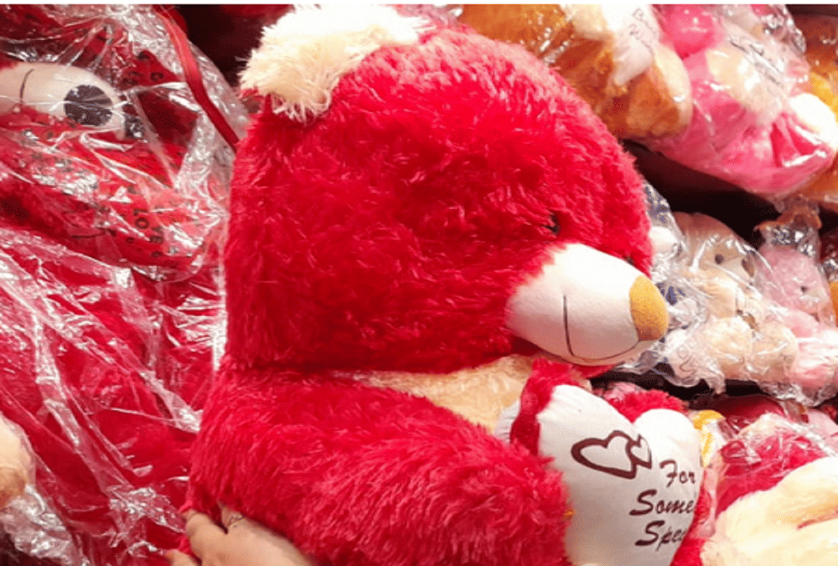 Jammu-kashmir: Expressing love by gifting teddy bear