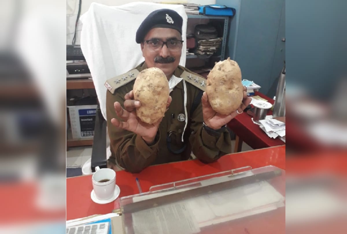 potato of Gorakhpur jail won first prize in exhibition