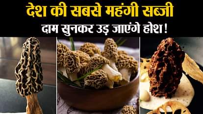 India’s Most costly vegetable Himalayas gucchi mashroom sells for 30 thousand rupees