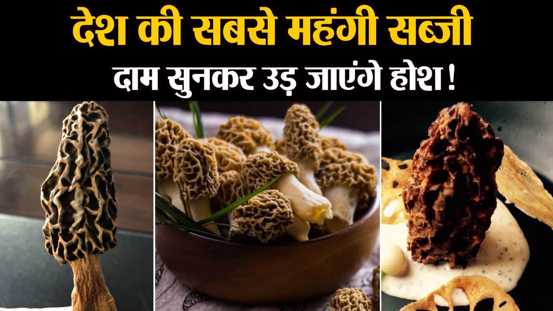 गुच्छी मशरूम