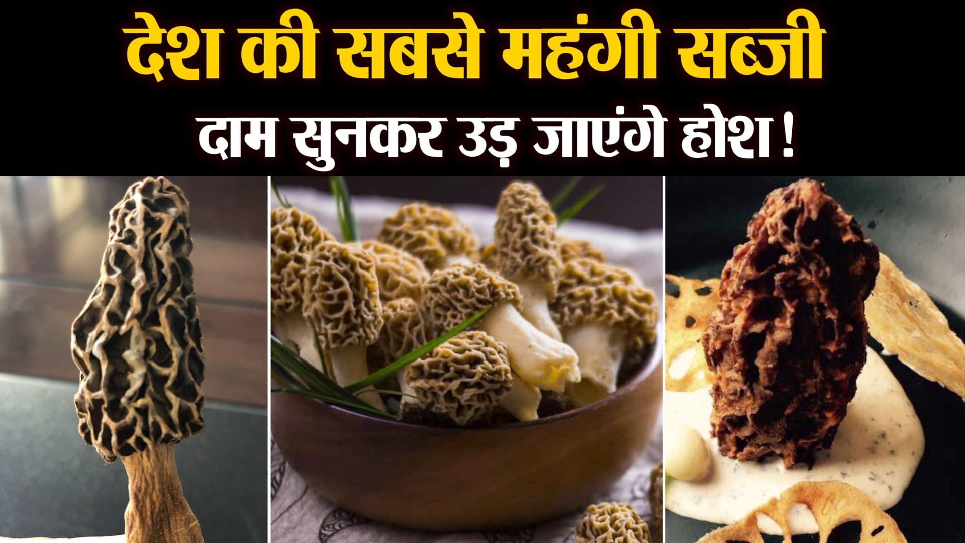 गुच्छी मशरूम