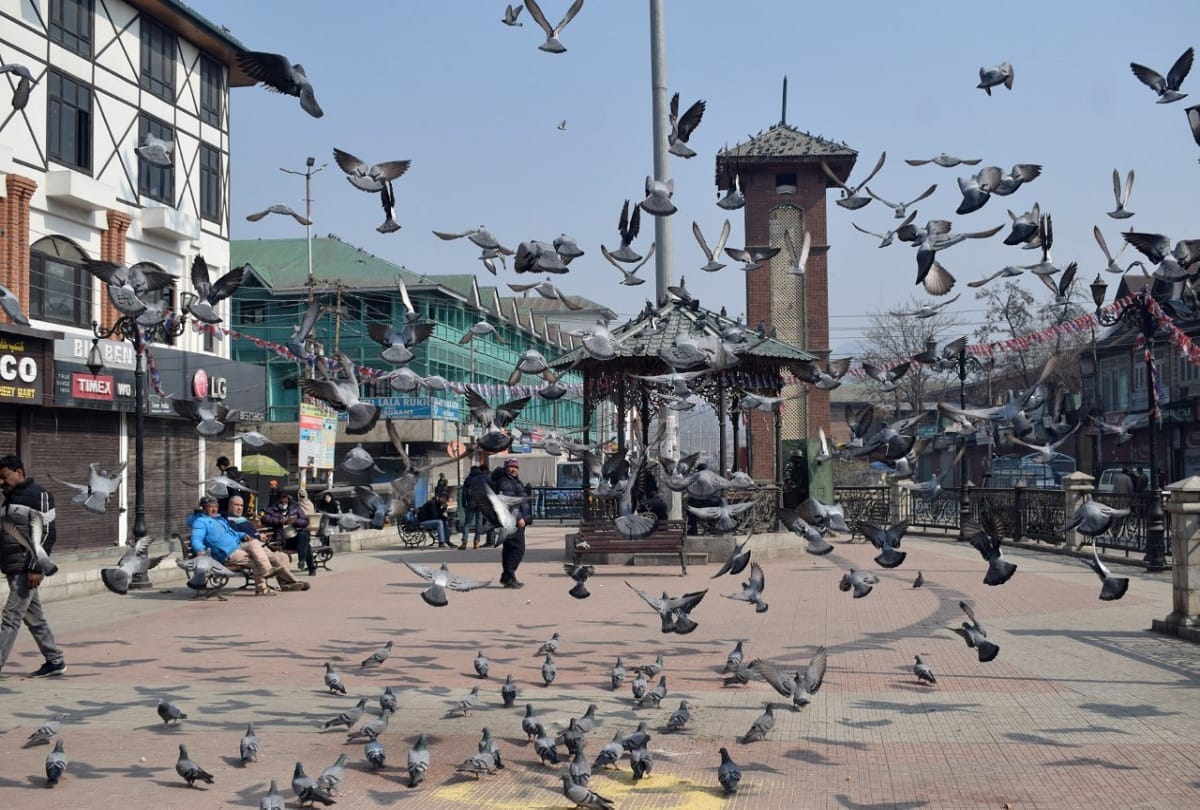 Jammu and Kashmir Roadshow organized to attract tourists
