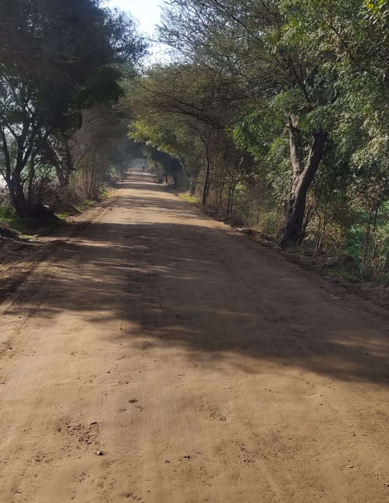Construction of nine roads starts, 43.17 crore will be spent