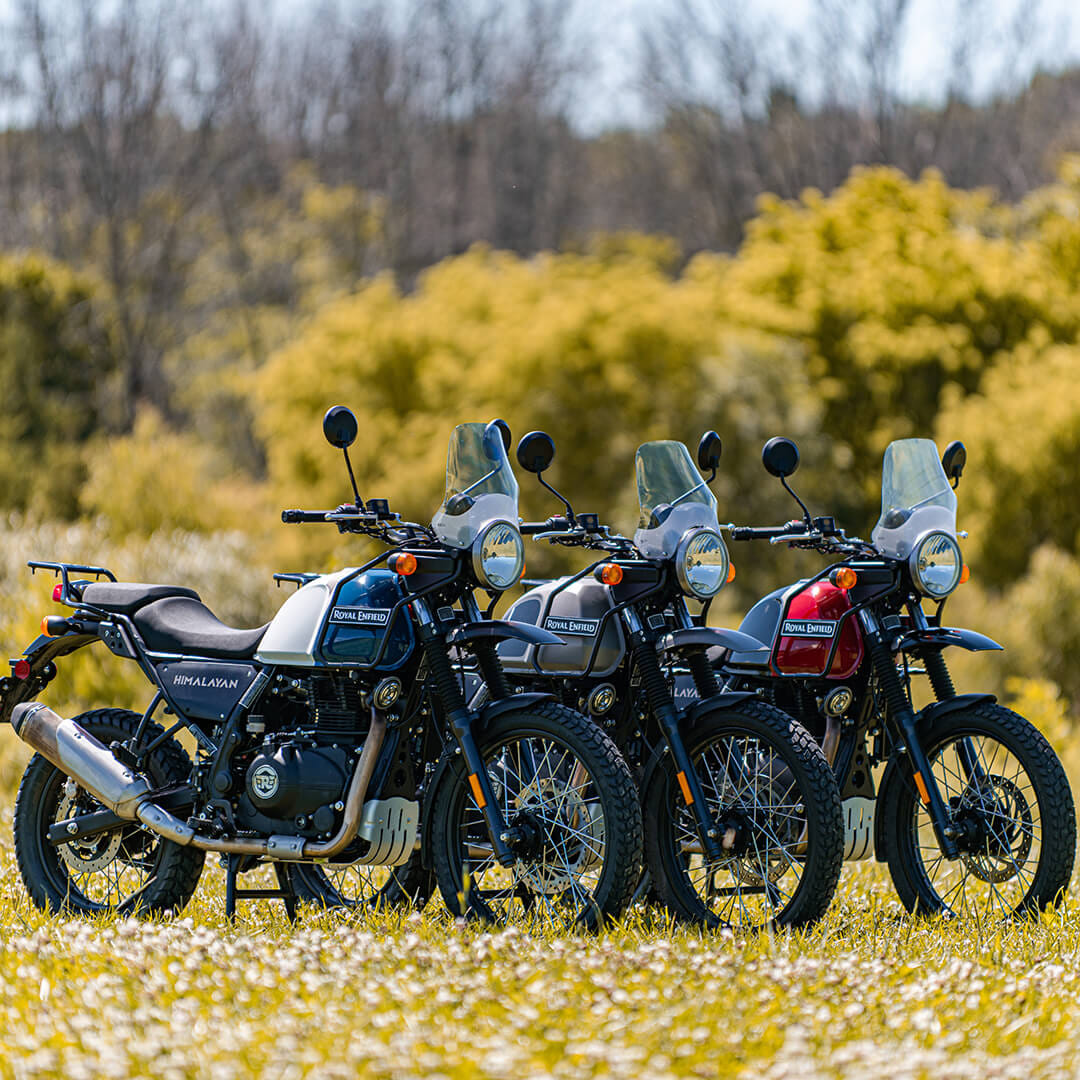 royal enfield himalayan 2021 model in india royal enfield himalayan 2021 launched in india royal enfield himalayan 2021 price in india 2021 royal enfield himalayan specs royal enfield himalayan new model 2021 price royal enfield motorcycles 2021