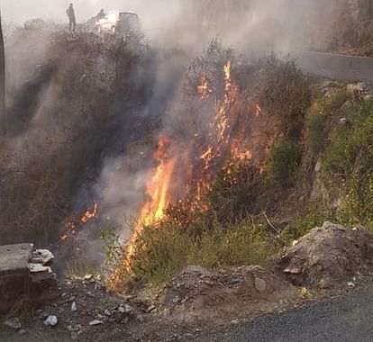 अल्मोड़ा के पांडेखोला से सटे जंगल में लगी आग।