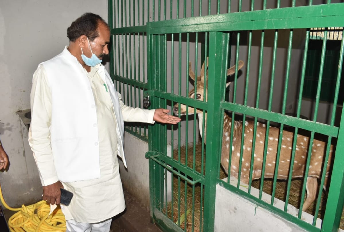 CM Yogi will launch Gorakhpur Zoo in March