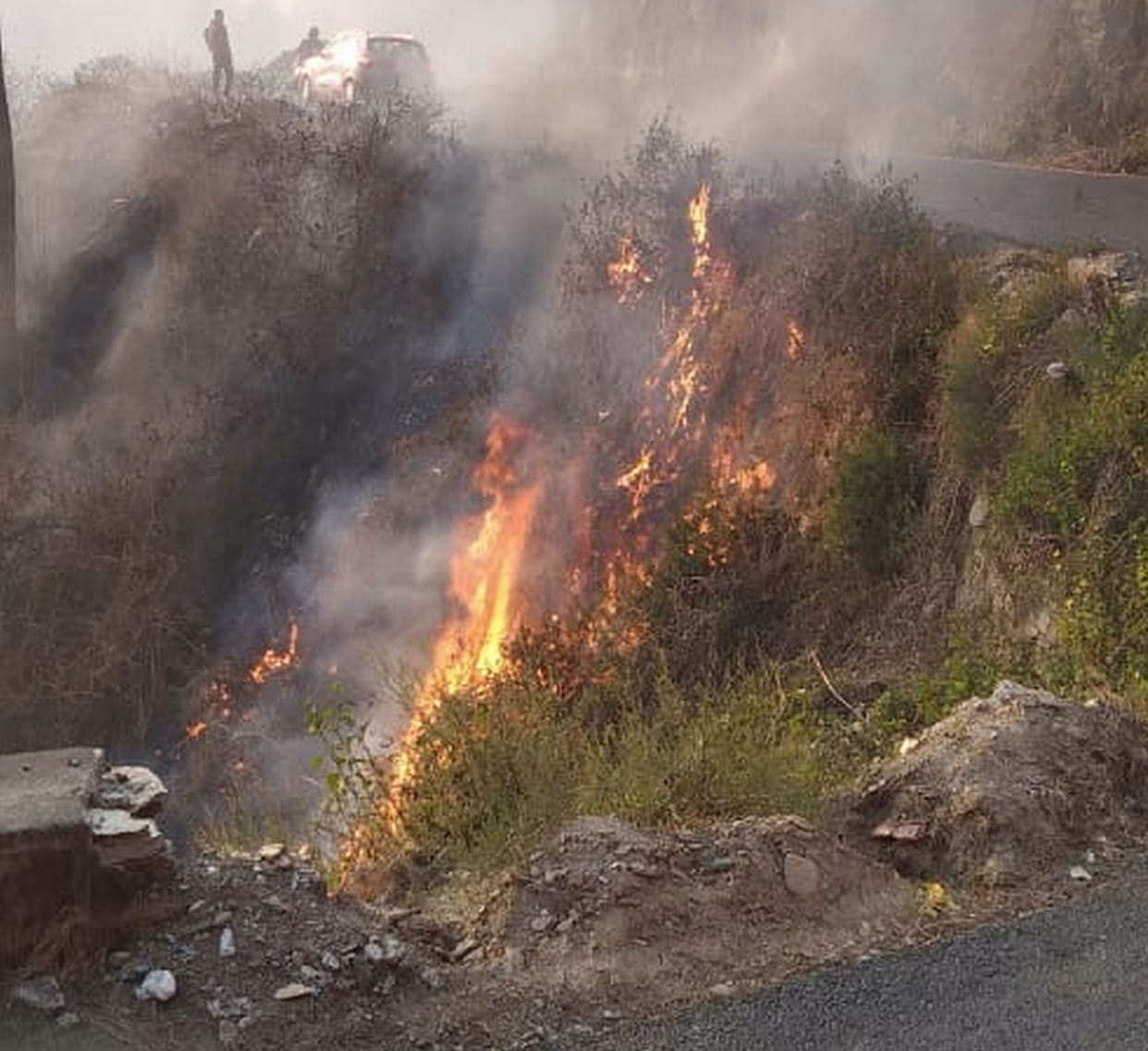 Forest fire near petrol pump, postponed due to major accident