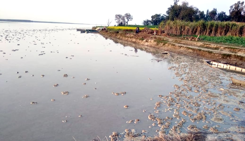 Ganga's water level rises, many bigha palas destroyed