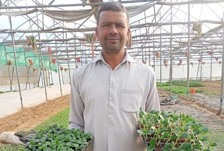 Haryana farmer Narendra Kumar gain profit from vegetable crops