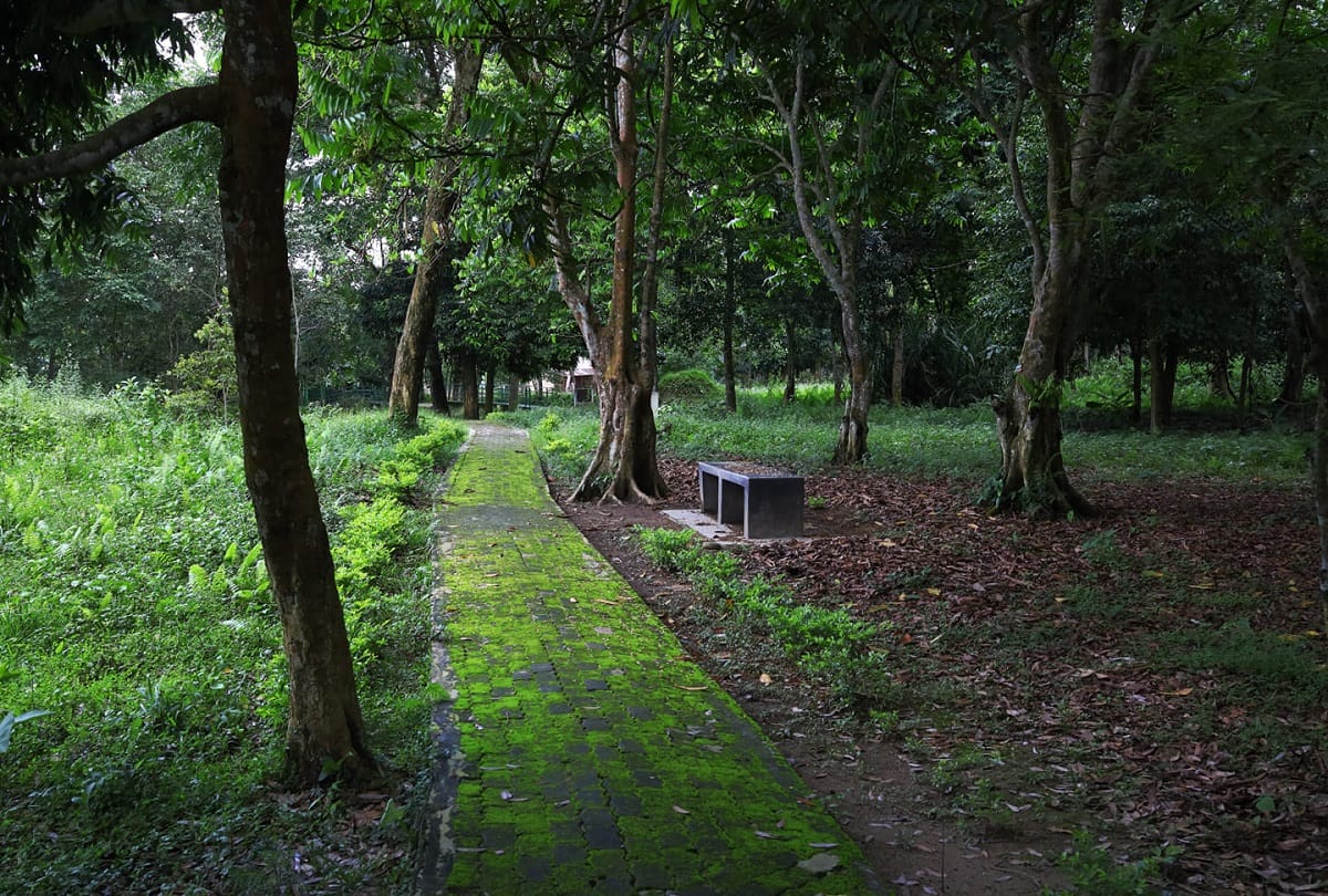 Famous and beautiful tourist place in Assam dibrugarh Tea city of India