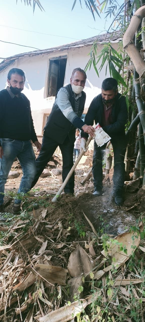 for bird died in hamirpur himahal