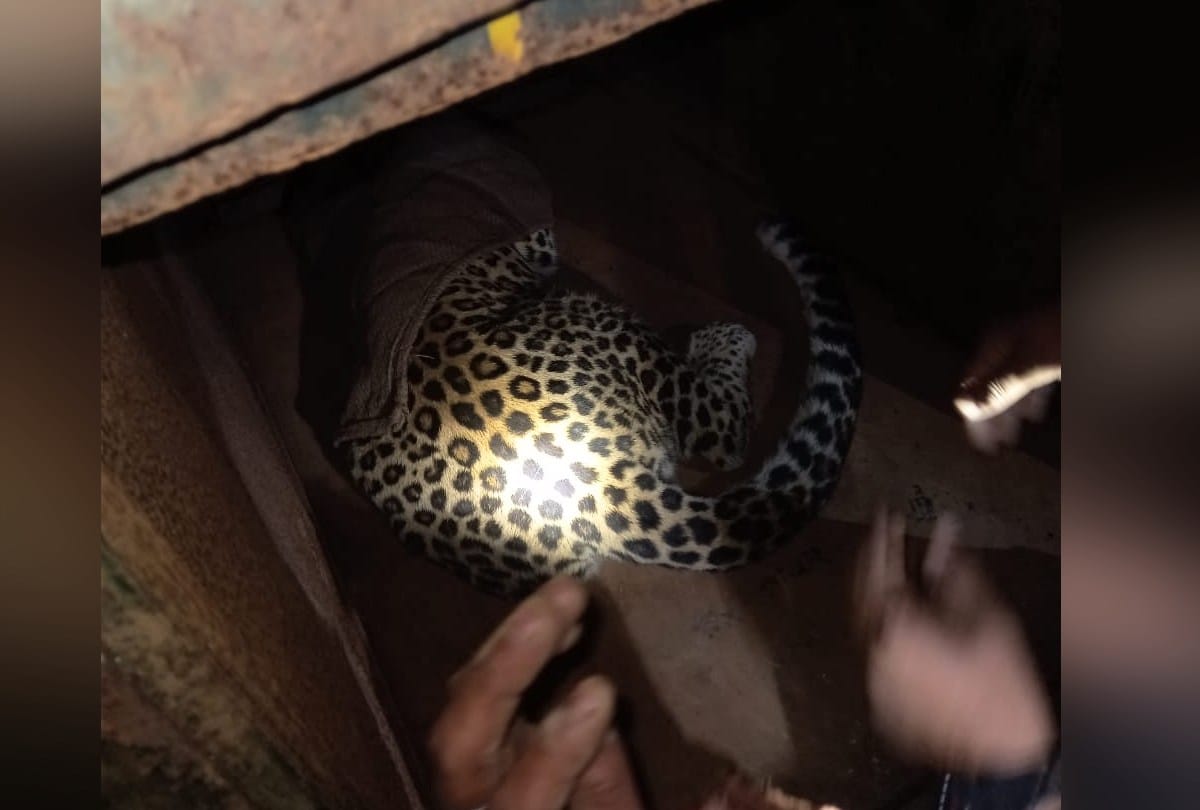 Leopard entered the house, the family spent a night in panic in nahan sirmour