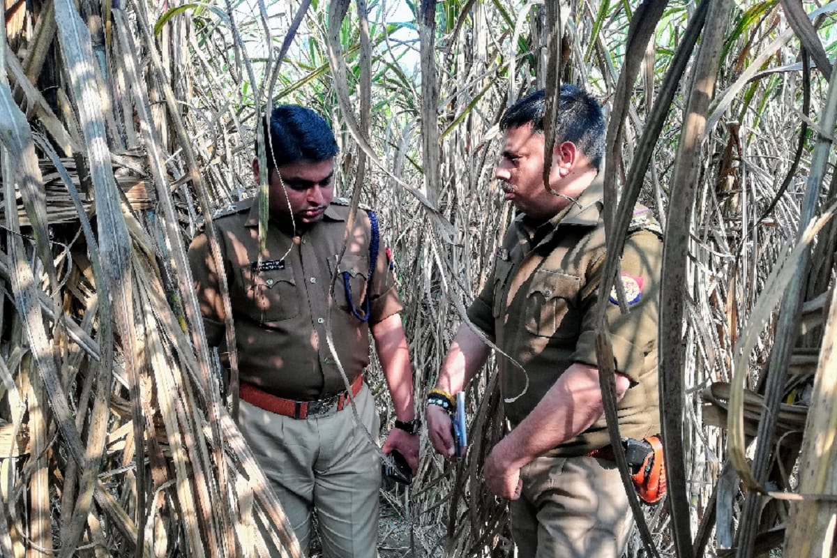 Meerut News: Middle-aged murder of Makhdumpur strangled, dead body found in farm