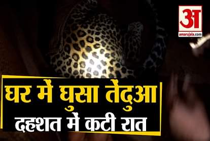 Himachal News: Leopard enters home in Nahan Sirmour rescue by forest department team