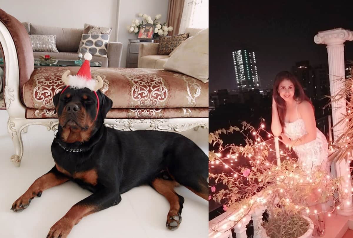 Pictures that take you Inside Urmila Matondkar's luxurious house