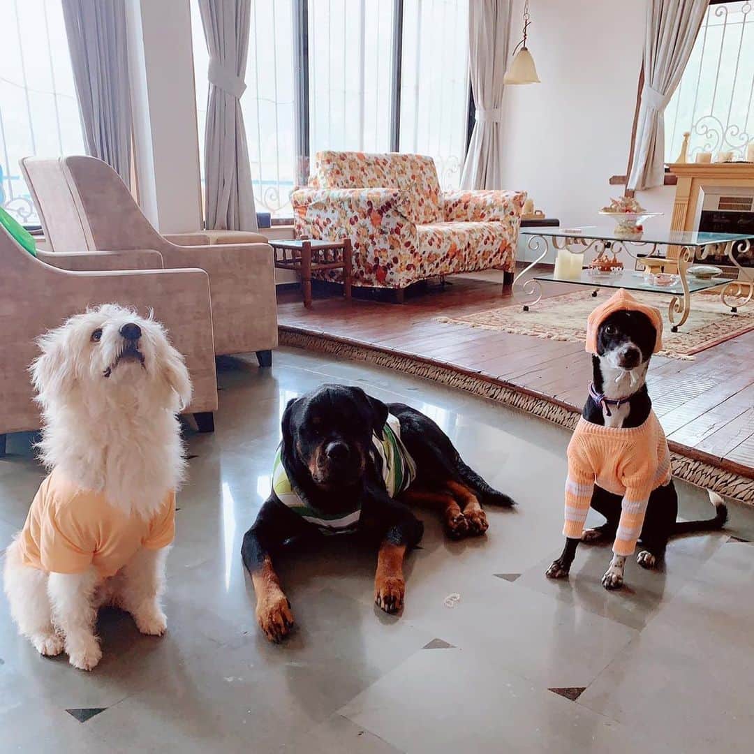 Pictures that take you Inside Urmila Matondkar's luxurious house
