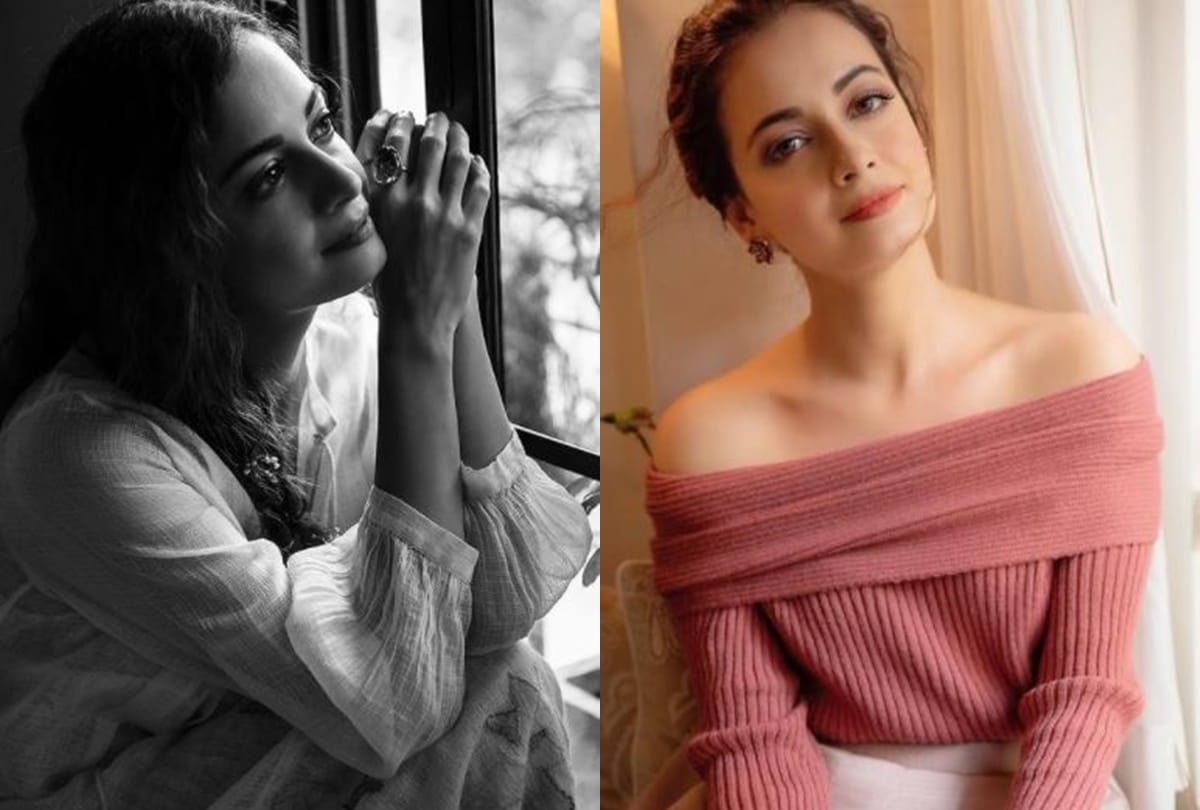 Dia Mirza to wed Vaibhav Rekhi; know all about groom to be