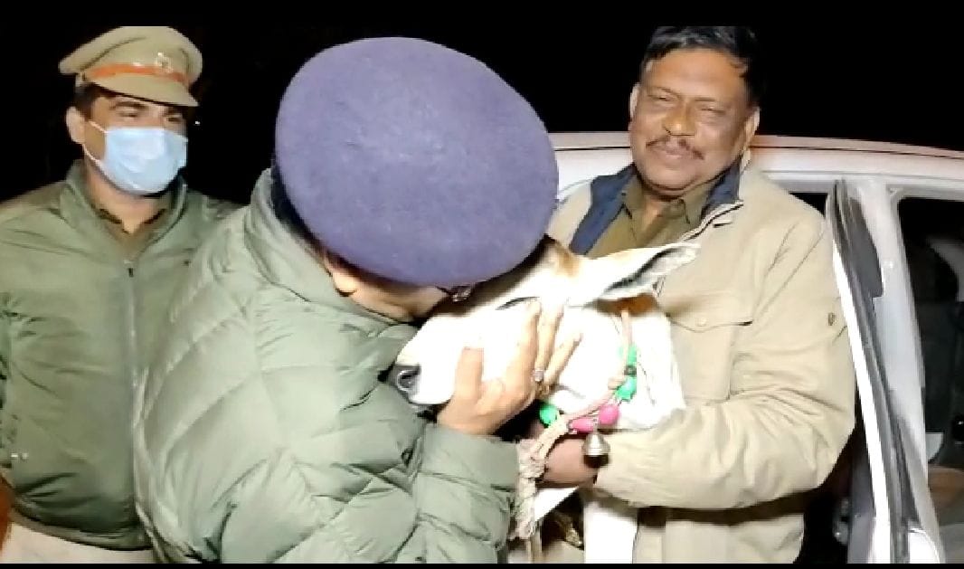 4 go-smugglers, including prize money of 25 thousand arrested after encounter
