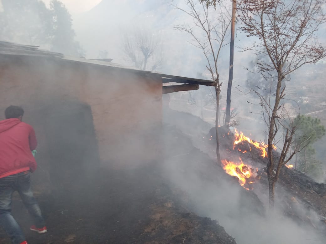 apple tree and cowshed brunt in forest fire in aani