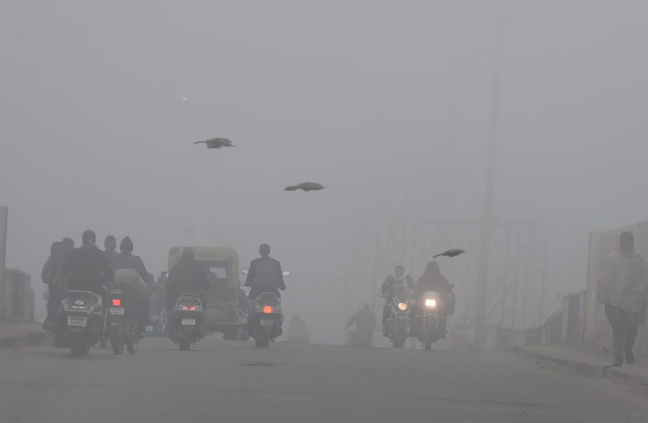 Fog halts vehicles