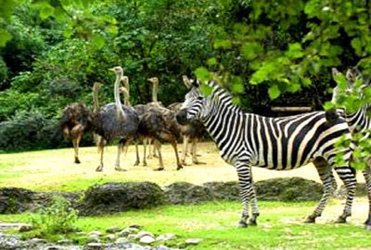 Best and beautiful places to visit in Imphal Manipur