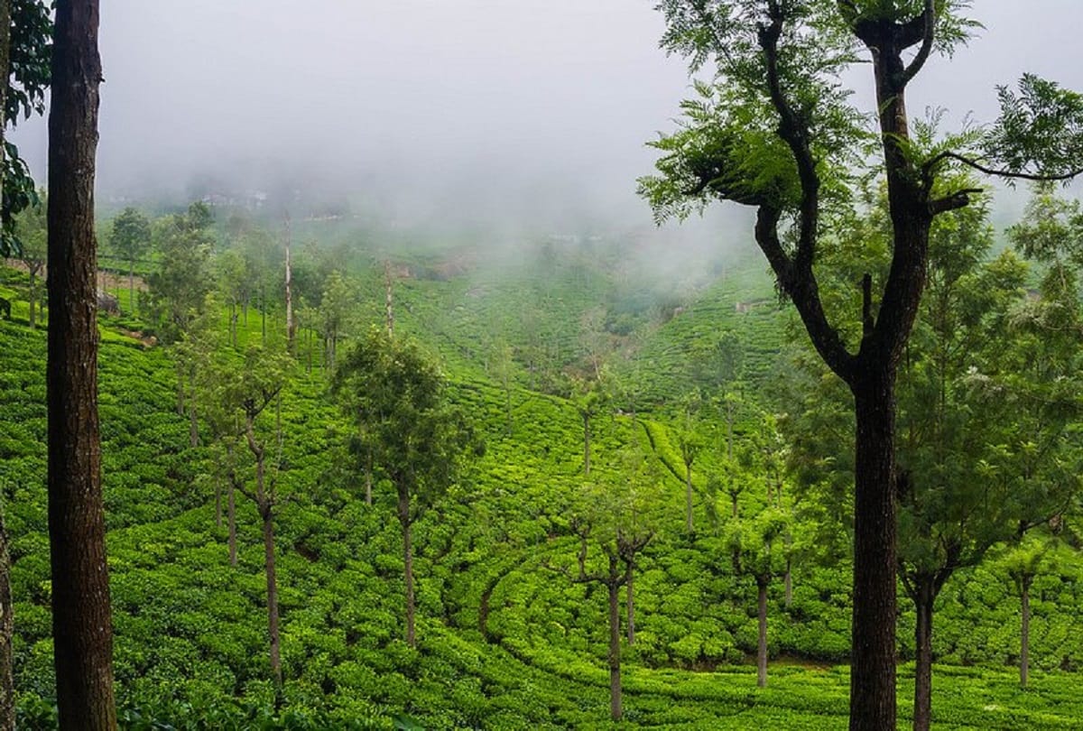 Five best tourist destinations in India