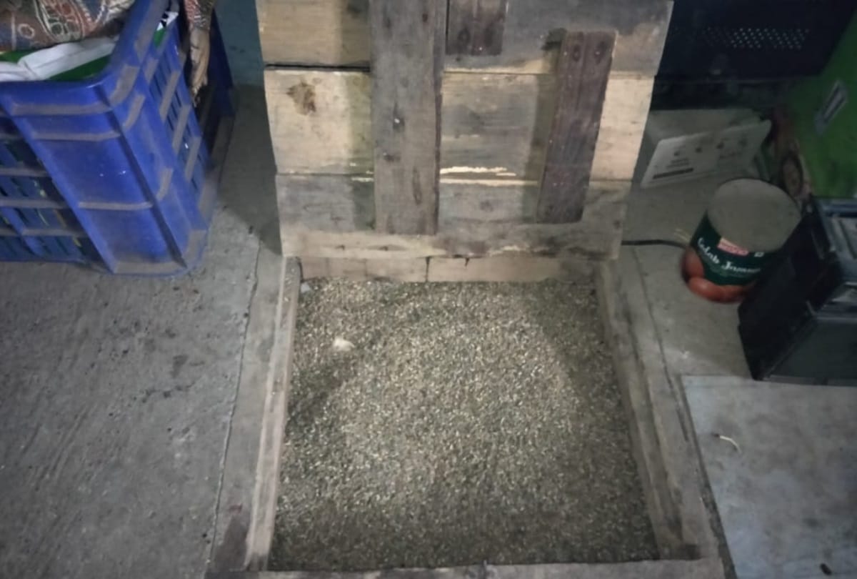 Himachal News: Barley storage in clay rooms for emergency in Lahaul spiti
