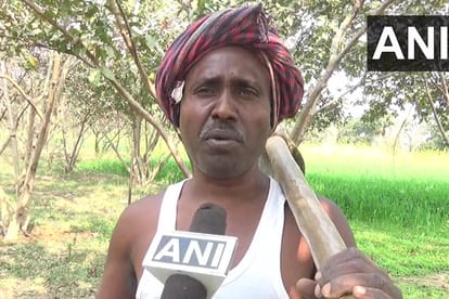 सत्येंद्र मांझी ने बंजर जमीन पर उगाए अमरूद के पेड़