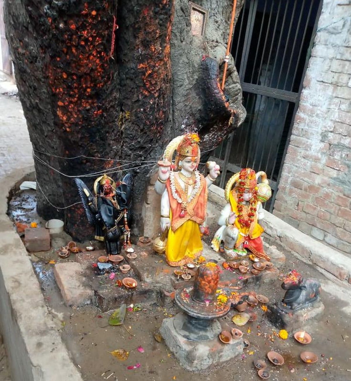 Year ender 2022 Shani Sade Sati And Dahiya Effect On Kumbh Tula Dhanu Makar Mithun Rashi In Hindi