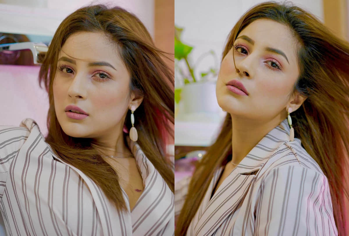 shehnaaz gill or katrina kaif who wore white stripe outfit better