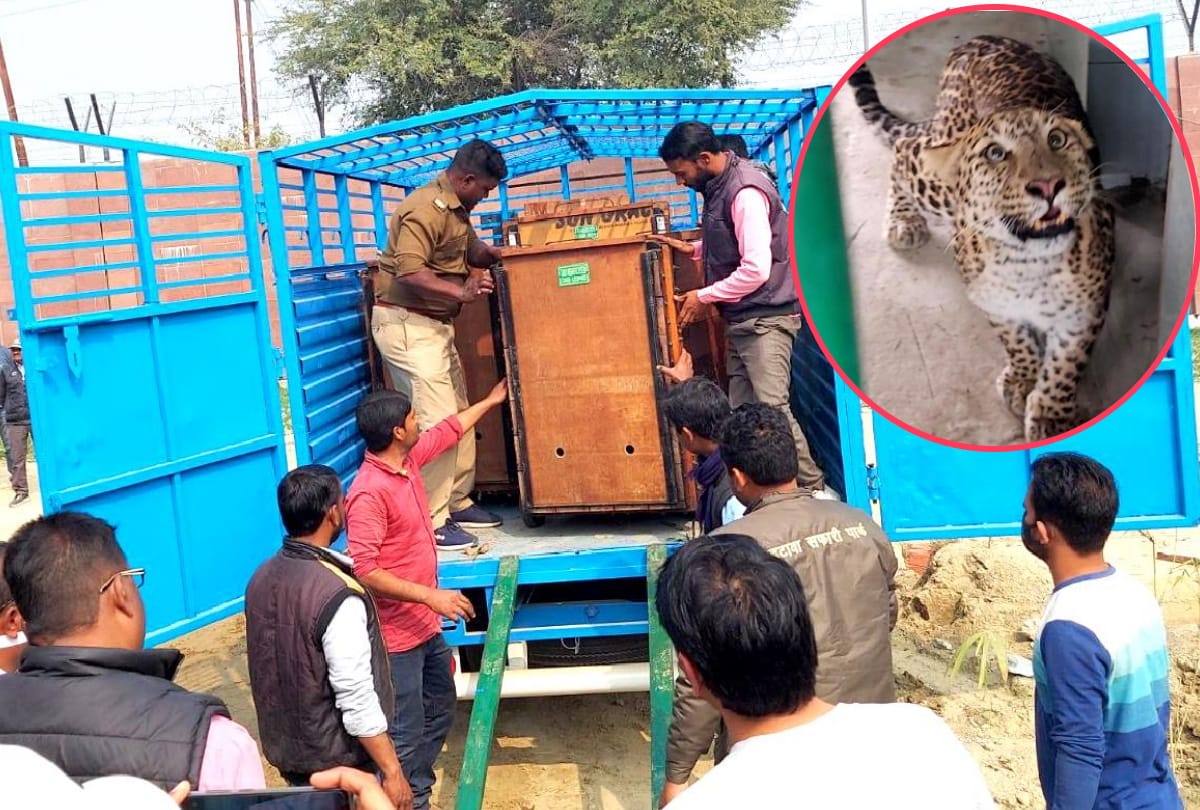 Seven black deer welcome in UP most beautiful Gorakhpuur Zoo