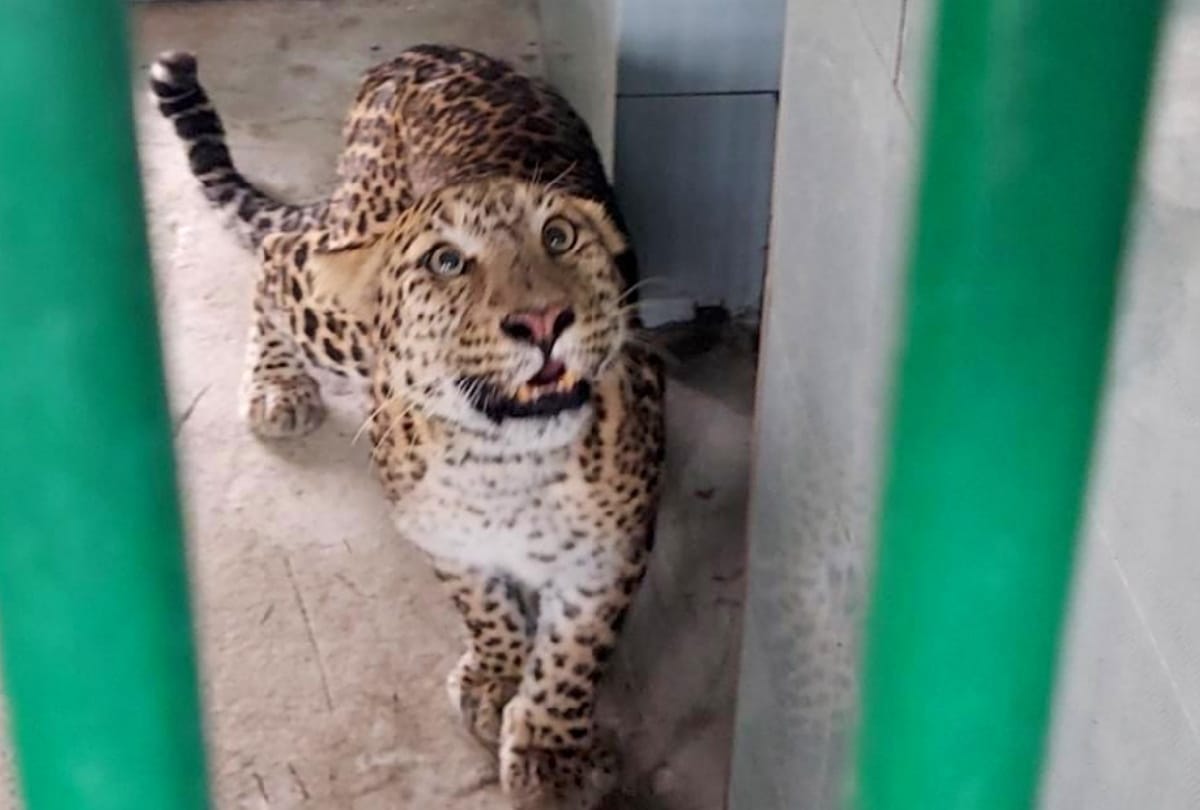 CM Yogi will inaugurate Gorakhpur Zoo on 26 March 2021