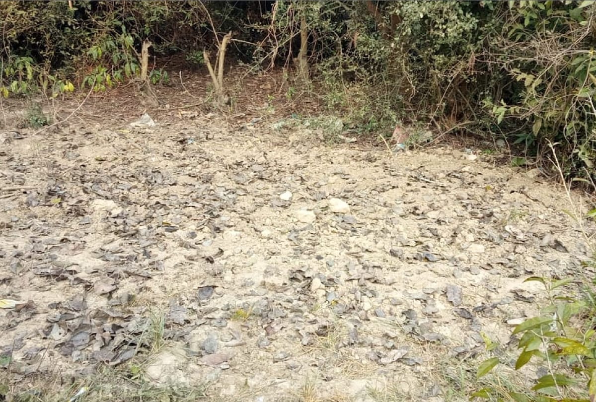 UP: Dead body burnt in school after killing a clinic operator in Amethi, accused school operator and her brother-in-law arrested