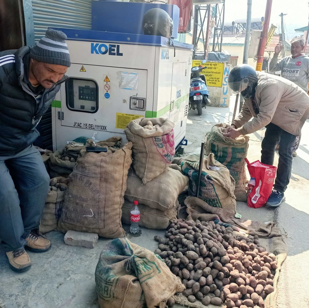 Farmers got potato seed