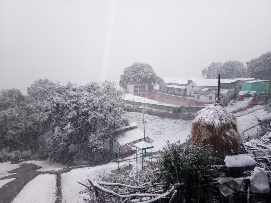 Apple Garden of Ranikhet