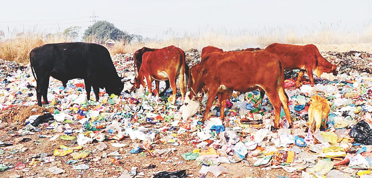 Saidpura residents could not get facilities even in six years