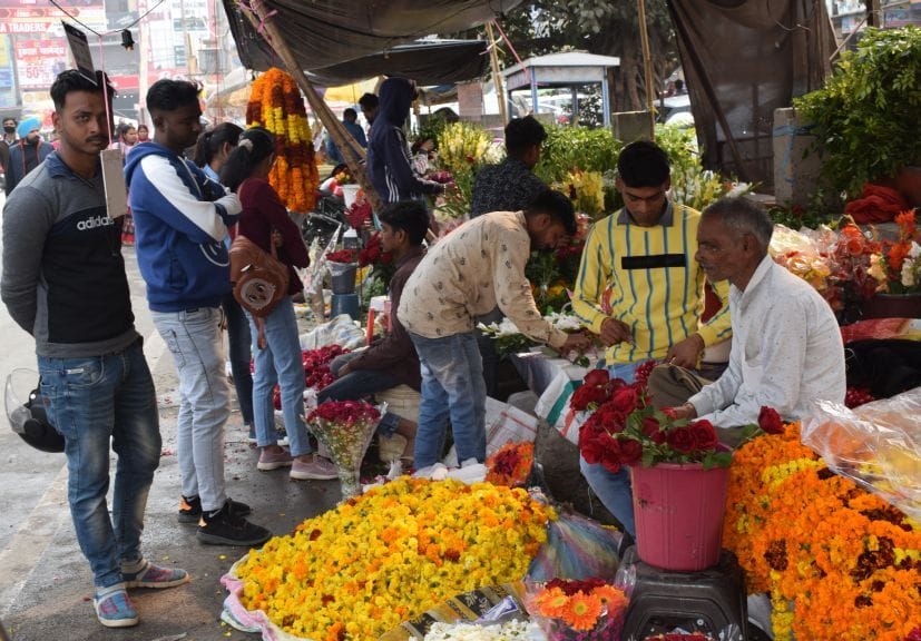 Roses from Bengaluru and Thailand will blossom