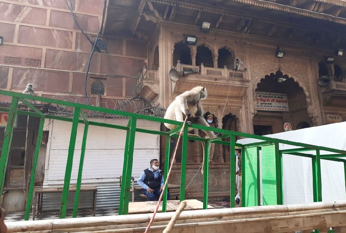 Cm Yogi Adityanath performs worship at Banke Bihari Mandir Vrindavan