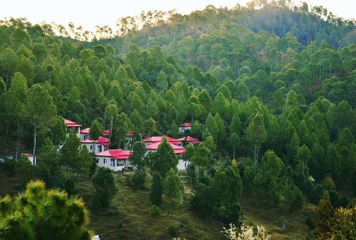 Famous and beautiful tourist places to visit in ranikhet