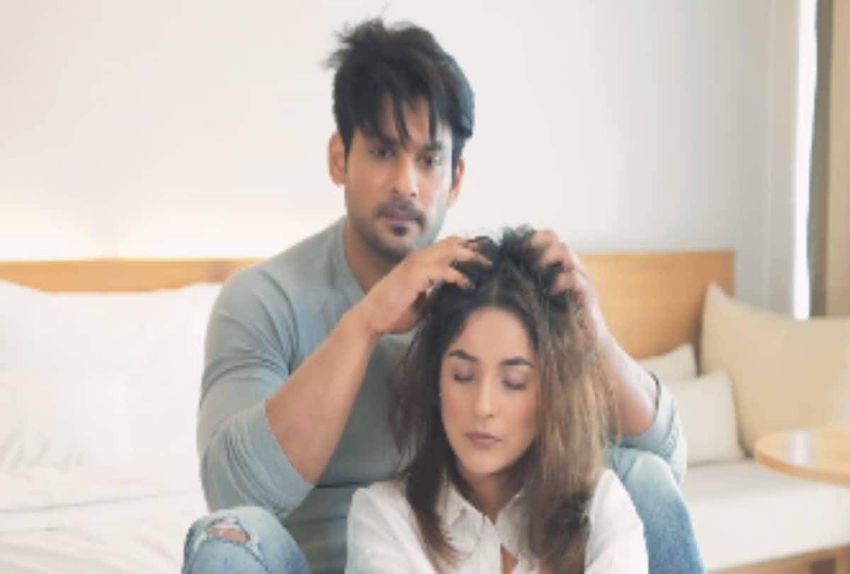 Bigg Boss 13 Fame Shehnaaz Gill Shares Video With Uchana Amit and Badshah, Says Footage Main Hi Lugi