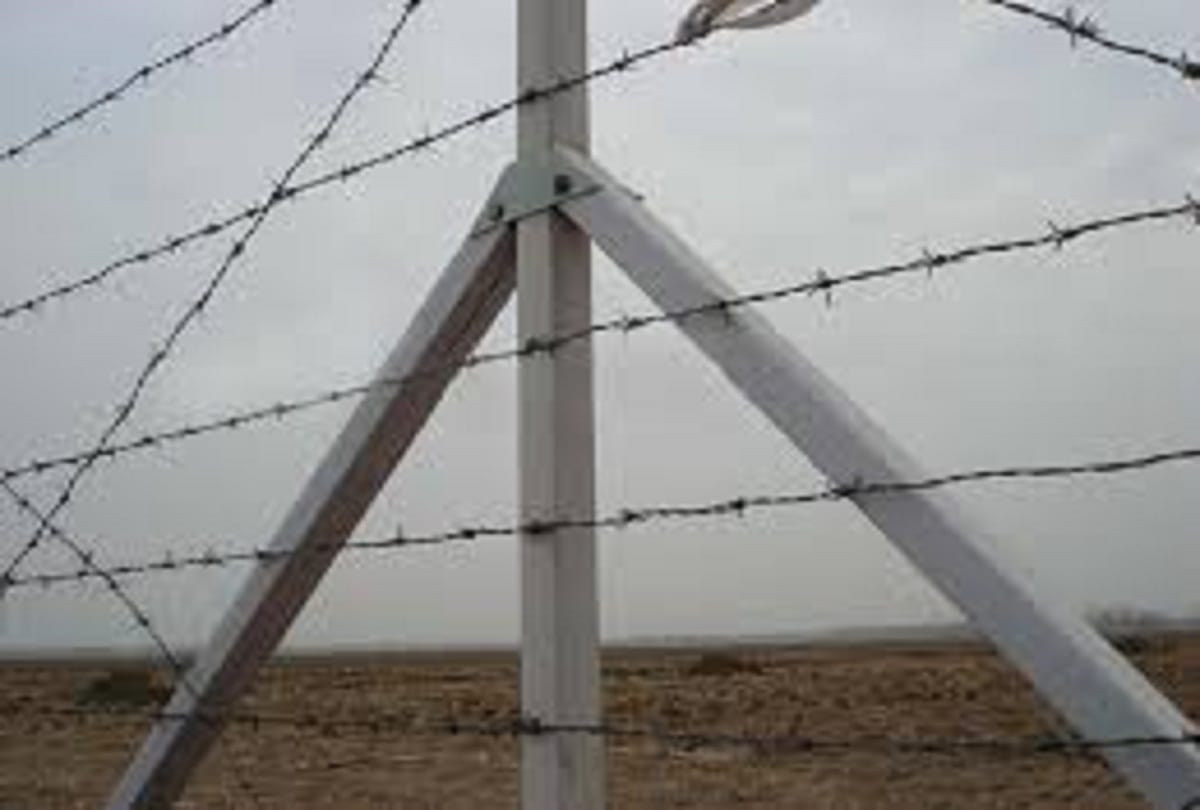 Woman dies due to wire planted to protect farm from animals