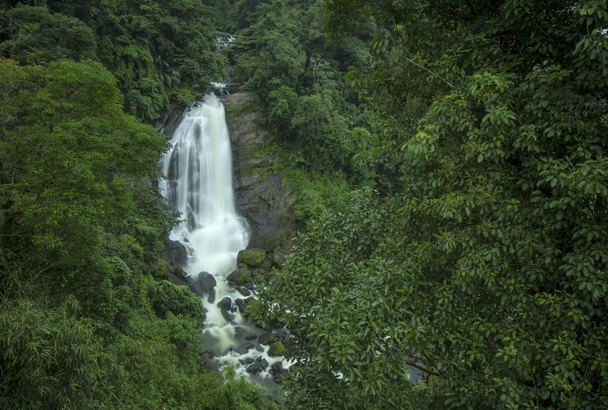 If you love nature you can definitely visit Athirappilly Water Falls once