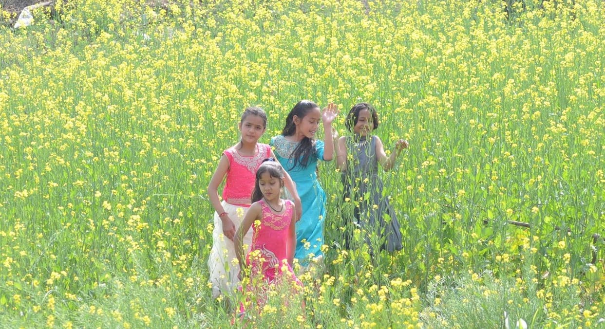 Vasant Panchami today, Mother Saraswati will be special worship