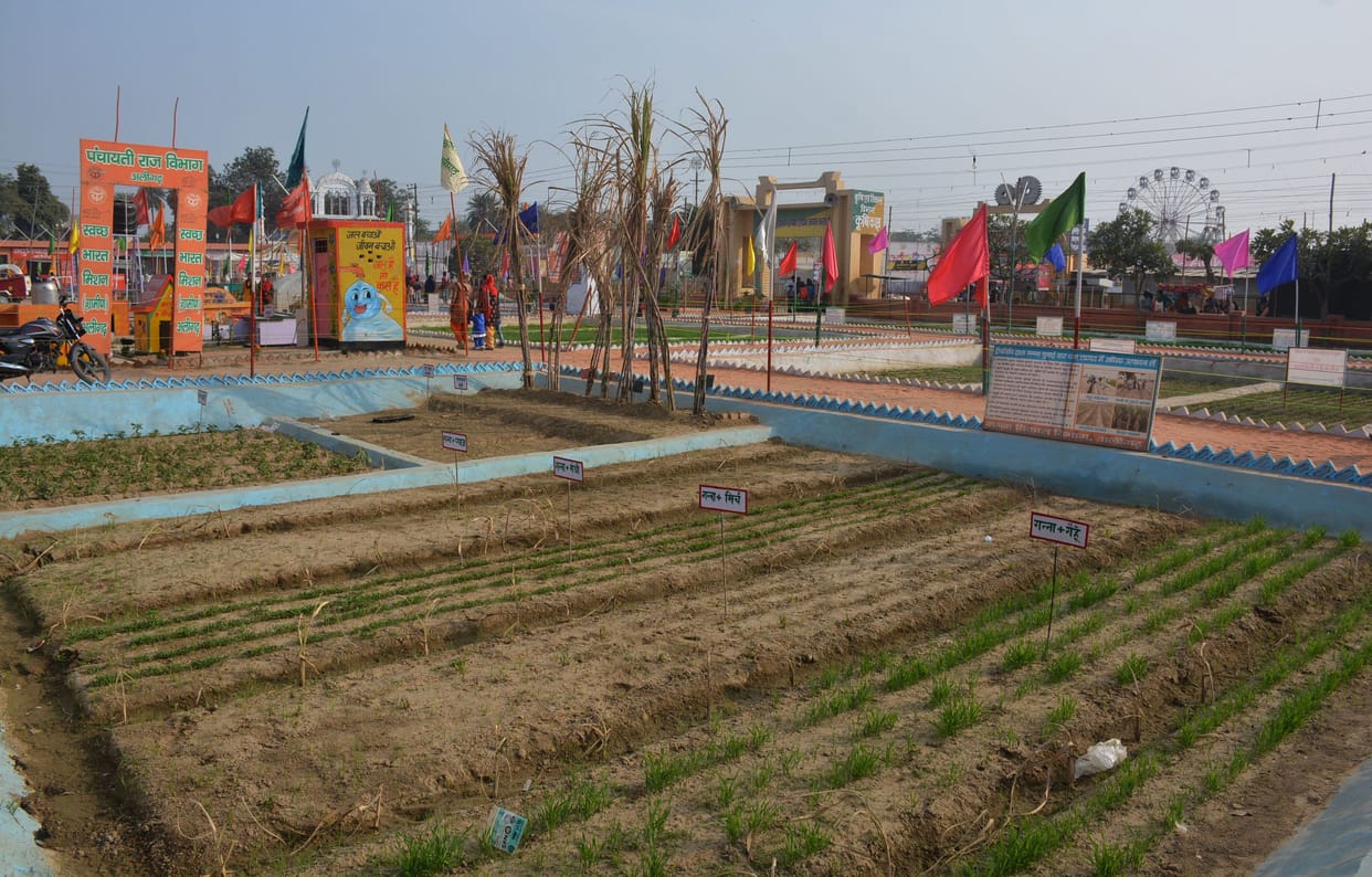 Due to lack of new plants and seeds, farmers are staying away from  aligarh exhibition