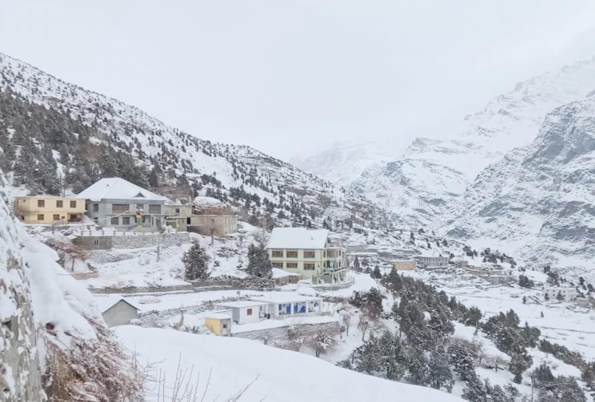 himachal weather today: snowfall and rainfall forecast in himachal, rain in shimla